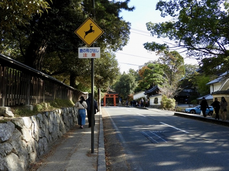 春日大社 表参道
